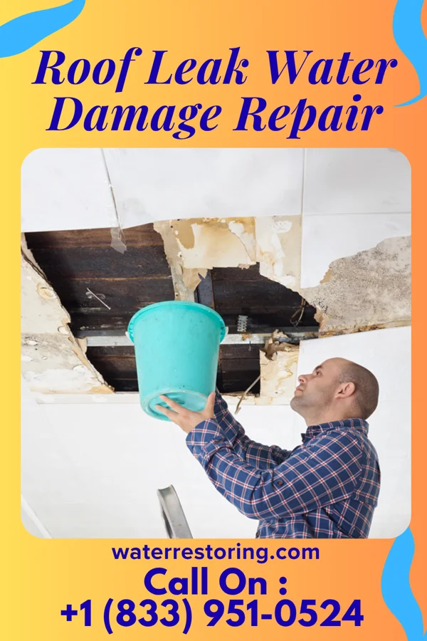 Roof Leak Water Damage Repair in Sparta, IL